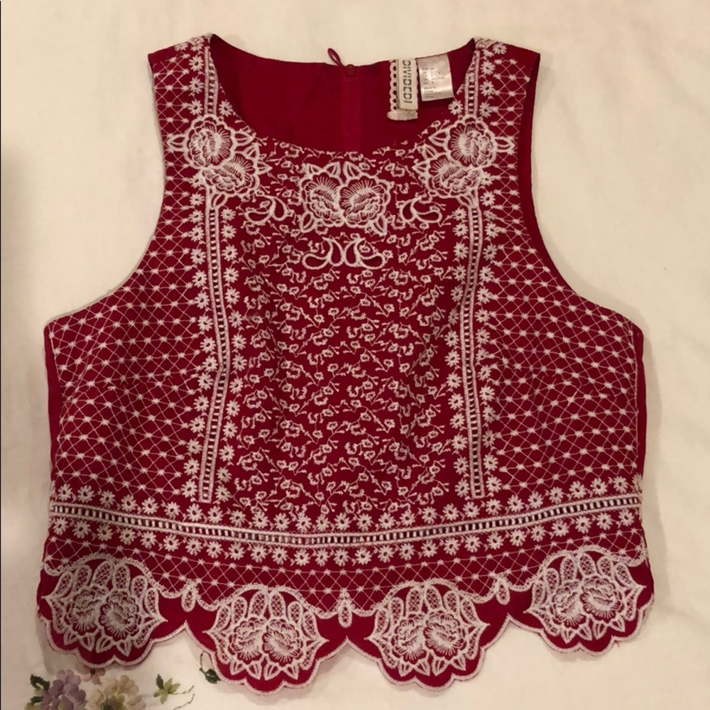 Red Embroidered Crop Top